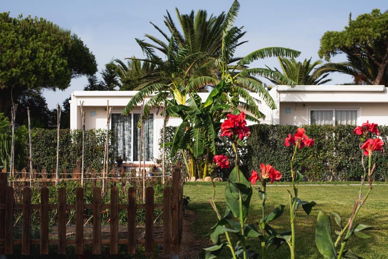 Casara Seis O Casara Siete - Tu Casa A 100M De La Playa De Zahora Guest House Exterior photo