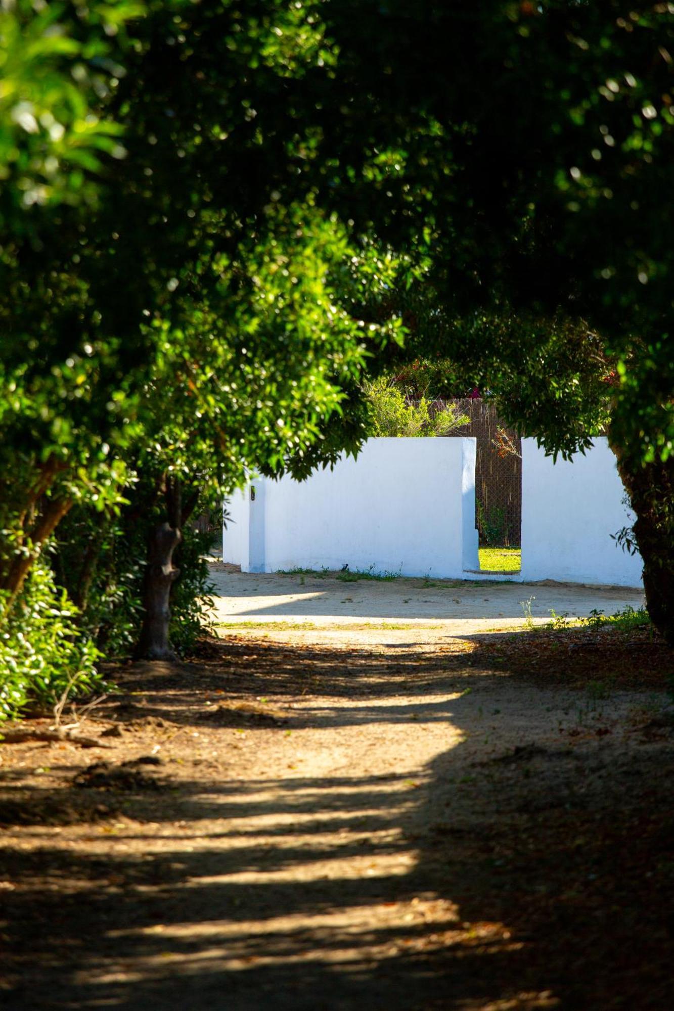 Casara Seis O Casara Siete - Tu Casa A 100M De La Playa De Zahora Guest House Exterior photo